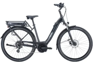 Pegasus Solero E8 Plus 500 Wh Damen mint 2024 - Schwarz, 50 cm