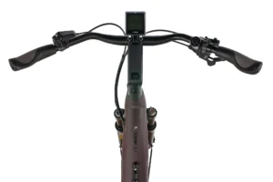 Pegasus Strong Evo 10 Lite 625 Wh Damen rot 2024